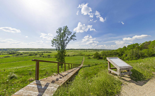 15. Imbarės piliakalnis.jpg